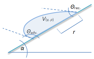 Tilting Plate - ein Tropfen auf einem schiefen Untergrund wird asymmetrisch deformiert, die Kontaktwinkelhysterese hindert ihn am Abgleiten.