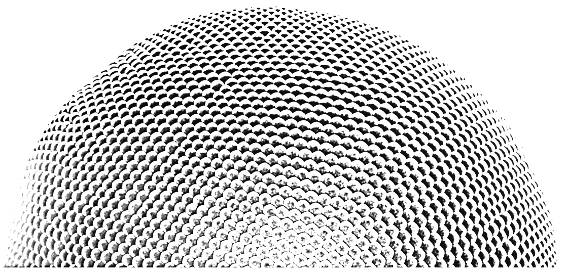 Facetten- oder Komplexauge; oculus compositus (arktischer Krill; Bild Wikipedia)